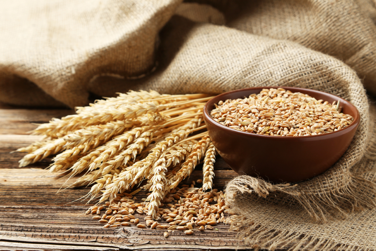 Ears,Of,Wheat,And,Bowl,Of,Wheat,Grains,On,Brown
